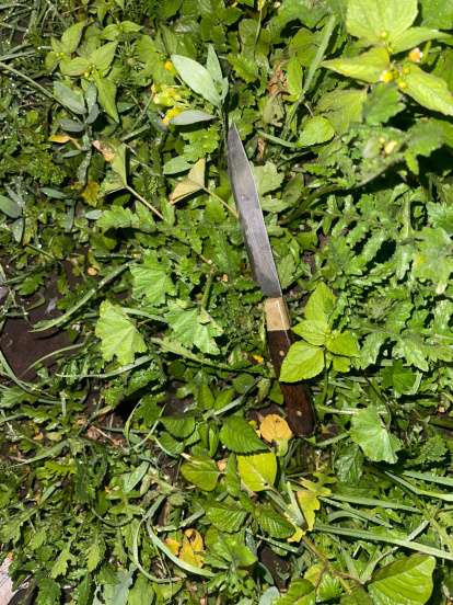 Este es el cuchillo que se habría utilizado en el crimen.