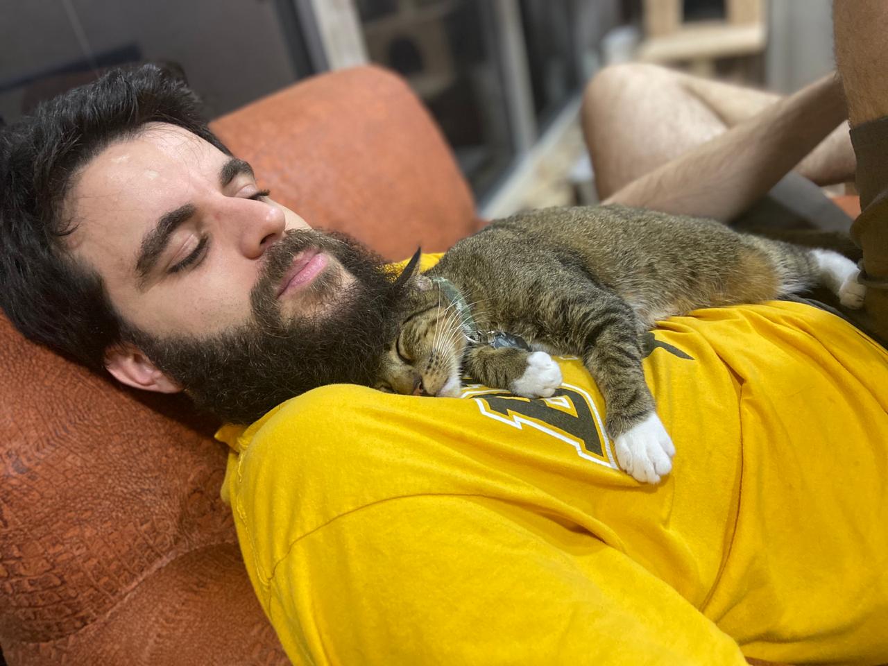 Mi Gato Empezo A Maullar Mucho