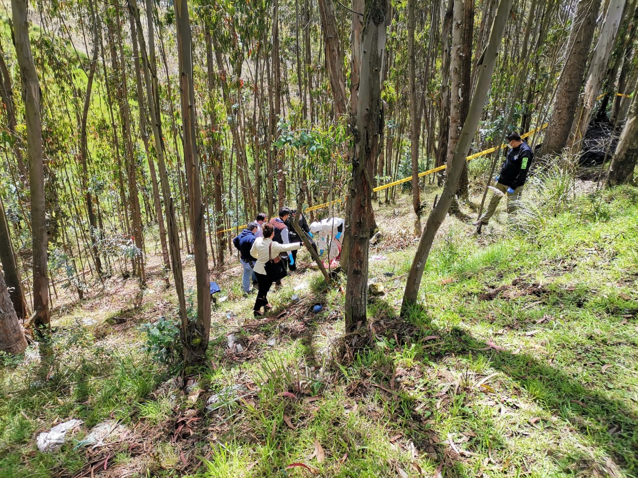 Descubierta en medio bosque y con el cráneo destrozado