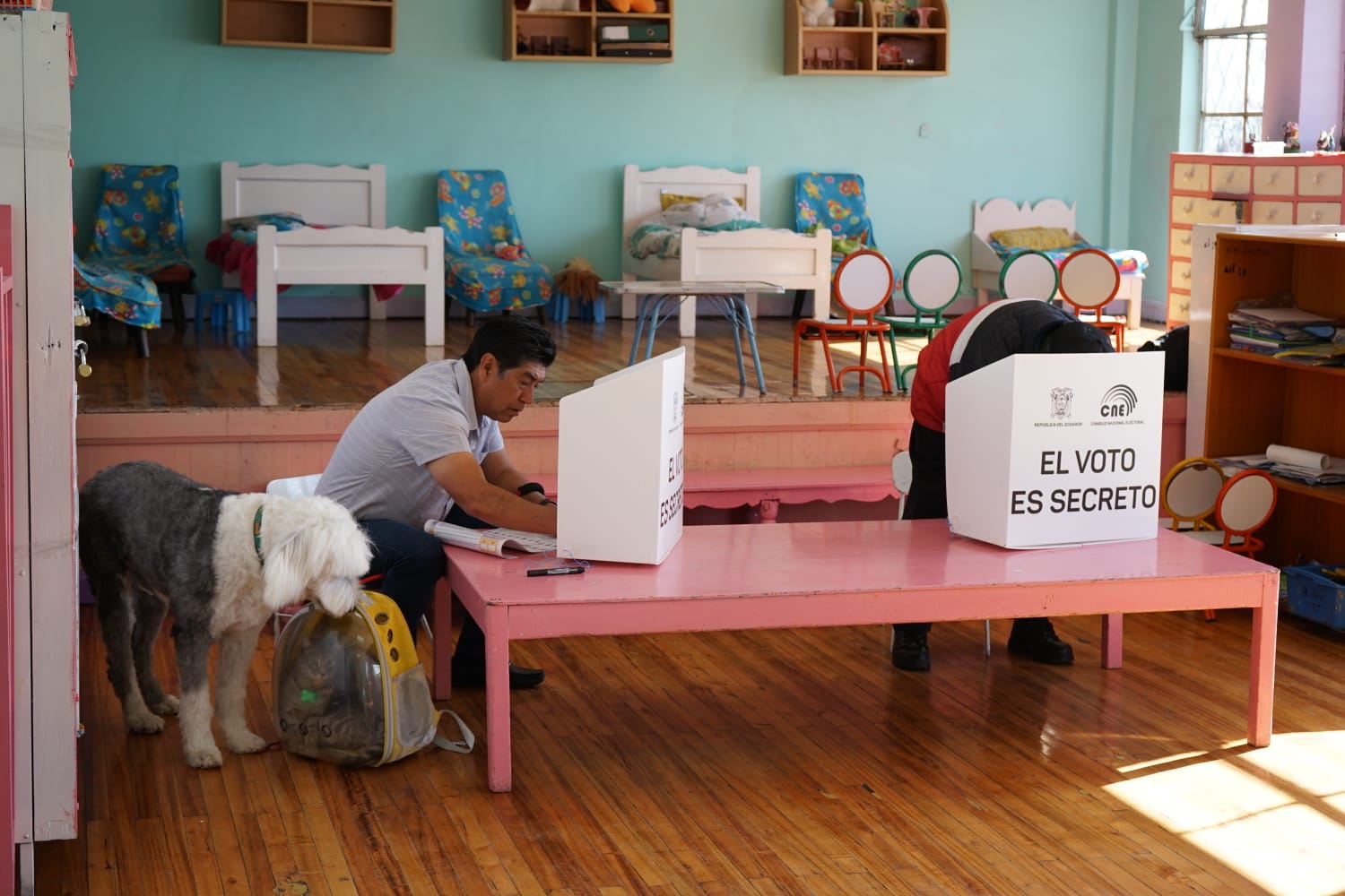 Elecciones 2023 Así avanzan las votaciones en Quito