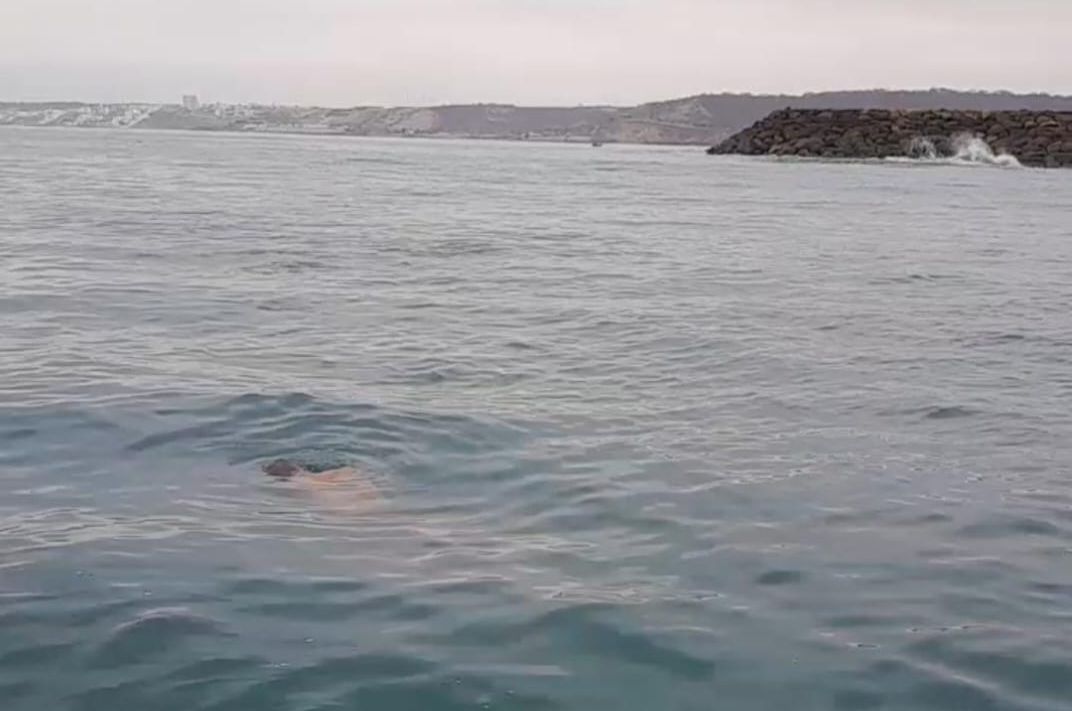 ¿qué Ocurrió Con El Pescador Hallado Sin Vida Frente A Las Costas De